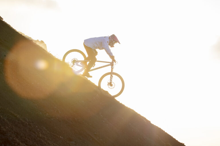 ProTaper Carbon 